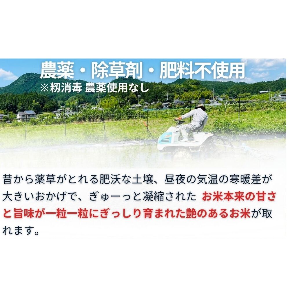 自然栽培米 玄米 ＜令和7年産 単発 / 2kg＞ ／ ふるさと納税 無農薬 米 お米 一等米 こめ コメ 国産 新米 玄米 農家やまおか 奈良県 宇陀市_イメージ3
