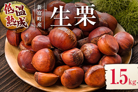 ＜2026出荷!!＞国産 低温熟成栗（生栗）1.5kg 熟成宝珠栗 産地直送 宮崎県新富町産【B672-26】