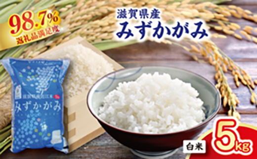 【新米】令和8年産滋賀県近江米「みずかがみ」【環境こだわり米】白米5kg(5kg×1袋)【FM05W2】
