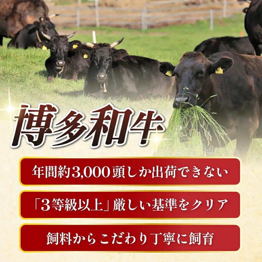 【全12回定期便】特選ロース 薄切り 1kg [ABCL055] 