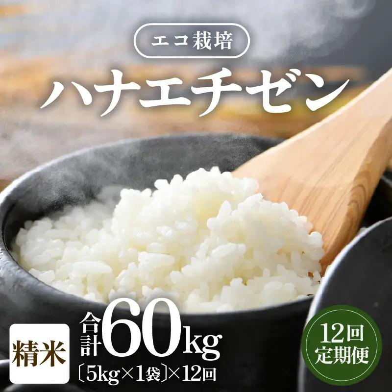 【先行予約】【令和8年産 新米】エコ栽培ハナエチゼン  白米5kg×12回 計60kg ／ 鮮度抜群 福井県産 はなえちぜん ご飯 新鮮 白米 ※2026年9月上旬以降順次発送予定 [aw063-k0