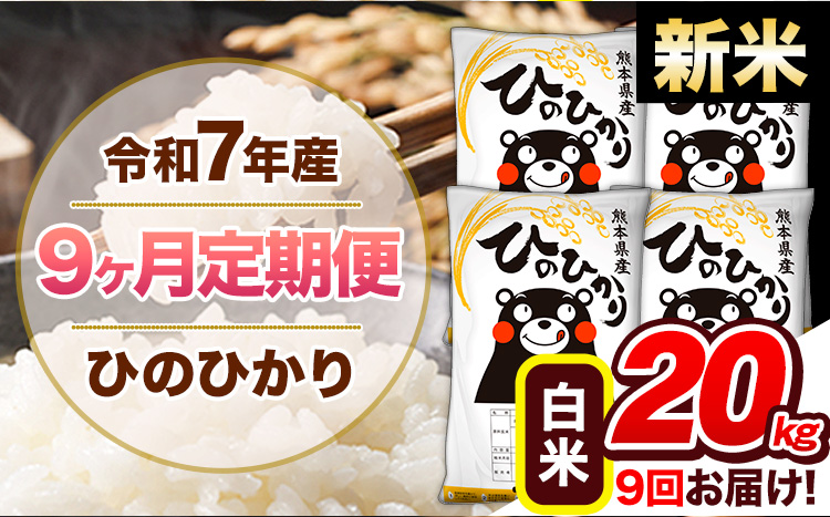 【9ヶ月定期便】新米 令和7年産 白米 定期便 ひのひかり 20kg 《お申込み翌月から出荷》熊本県産 ふるさと納税 白米 精米 ひの 米 こめ ふるさとのうぜい ヒノヒカリ コメ 熊本米 ひのもり