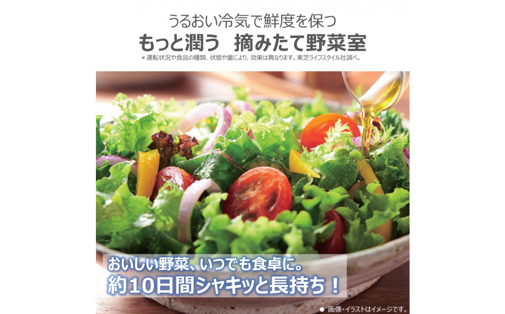 東芝　冷蔵庫【標準設置費込み】　501L　5ドア　左開き　冷凍冷蔵庫　GR-Y500GTML(NS)