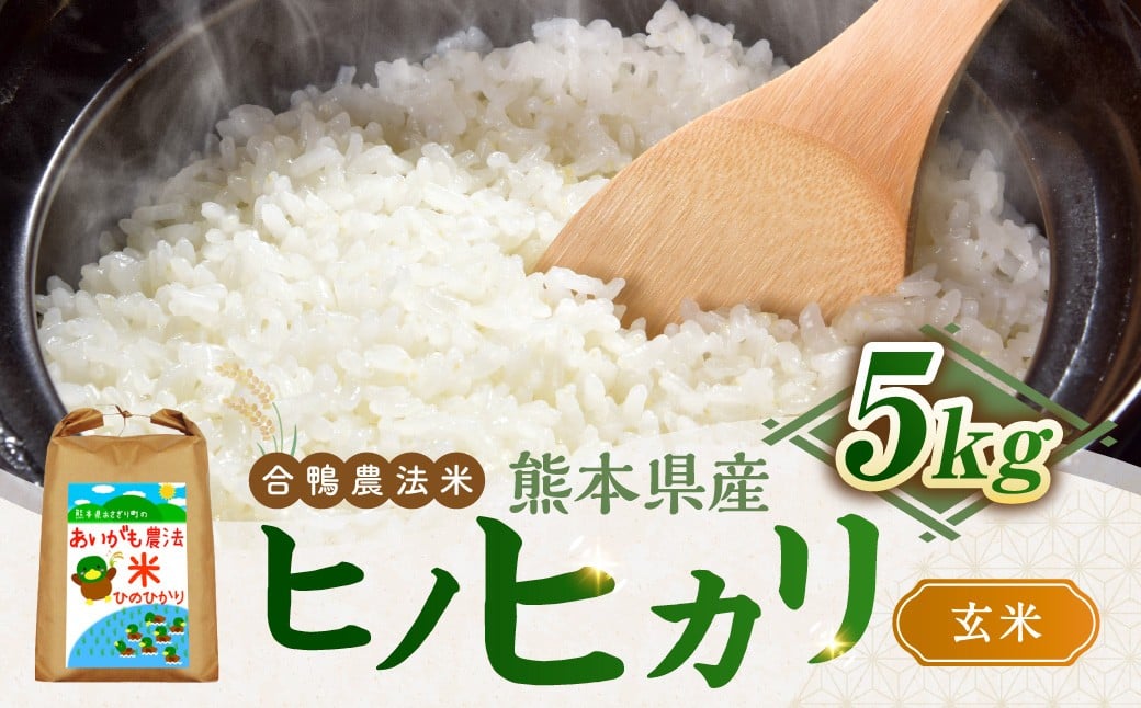 令和7年産 合鴨農法米 ヒノヒカリ 玄米 5kg×1 米 お米 こめ ライス 農薬・化学肥料不使用 合鴨農法 国産 九州 熊本県産 常温