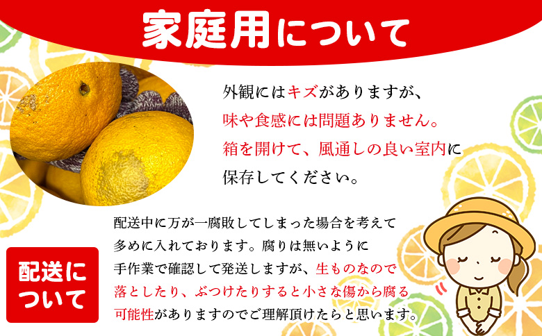 ＜木下さんちの不知火 家庭用 約4kg（大中小混み）＞『2027年3月に順次出荷予定』柑橘 しらぬい でこぽん デコポン ご自宅 みかん ミカン 蜜柑 果物 くだもの フルーツ 果実 特産品 木下農園