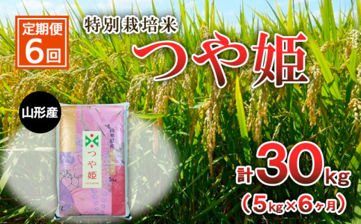 
【定期便6回】特別栽培米 つや姫 5kg×6ヶ月(計30kg) FY23-751
