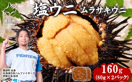 塩うに 160g(80g×2P) ムラサキウニ ミョウバン不使用 塩蔵うに 北海道産
