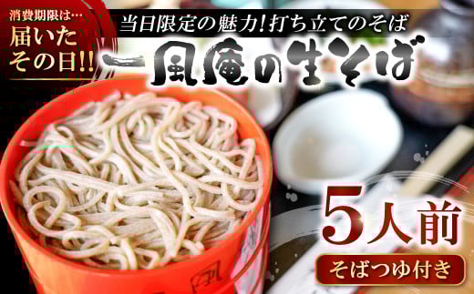 
            自家製粉手打ち生そば　５人前【生そば 5人前 そばつゆ付き セット 蕎麦 玄そば 出雲そば そば 国産 無添加 手打ち 打ち立て 冷蔵配送 自家製 石臼挽き こだわり 人気 生麺 麺類 和食 食品 健康 美容 季節限定】
          