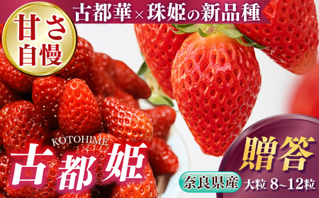 【 贈答 】 幻 の 高級 いちご『 古都姫 （ ことひめ ）』 吉野杉 箱入り 阪野農園 | 先行予約 フルーツ 果物 くだもの ブランド いちご 苺 甘い ギフト プレゼント 満足 新品種 ストロベリー 美味しい 希少 品種 特徴 糖度 2月 3月 4月 5月 順次発送 旬 送料無料 濃厚 香り 果汁 味わい深い お取り寄せ 産地直送 農家直送 名産地 奈良県 平群 町