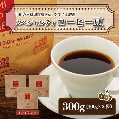 ふるさと納税 下関市 スペシャルティ コーヒー豆セット インドネシア 300g(100g×3袋) EW123
