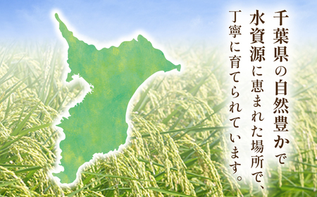 【令和7年産】 新米 コシヒカリ 精米 5kg