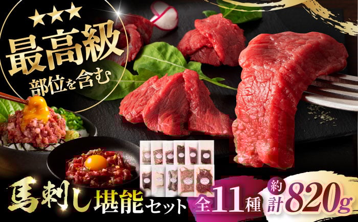 
            「熊本特産」フジチクオリジナル ふじ馬刺し堪能セット 3896【株式会社フジチク】 [BHAD025]
          