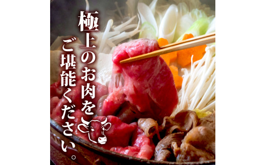 【2回定期便】土佐黒毛和牛 食べ比べ 1600g (計1.6kg以上) | Dコース 厳選 国産 和牛 すき焼き 焼き肉 お肉 にく 霜降り 牛肉 ウデ肉 うで肉 モモ肉 もも肉 人気 贈答 ギフト 