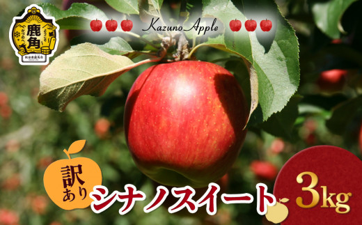 《 先行予約 》訳あり 鹿角りんご「シナノスイート」3kg（7～10玉前後）【佐藤秀果園】●2026年10月下旬発送開始 リンゴ 林檎 家庭用 訳あり 果汁 完熟 旬 県産りんご お中元 お歳暮 贈り物 お見舞い グルメ ギフト 故郷 秋田 あきた 鹿角市 鹿角 送料無料
