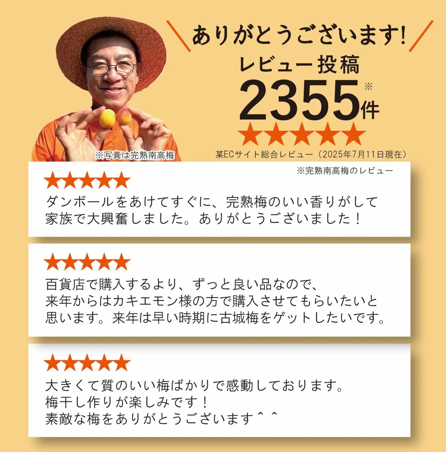 【秀品】完熟 南高梅 約3kg (＋補償100g) M～L以上 カキエモン農園 【2027年6月中旬～6月下旬頃順次発送】 和歌山産 梅干し 梅酒 梅シロップ 果実 うめ 梅 ウメ カキエモン 農園 