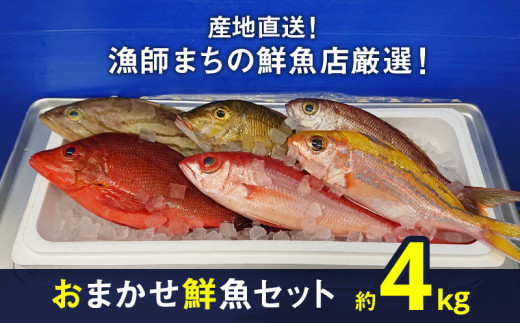 
【産地直送】【漁師まちの鮮魚店厳選】おまかせ鮮魚セット（約4kg）
