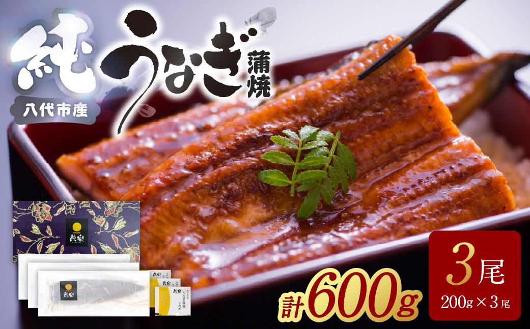令和8年熊本地震復興支援 うなぎ蒲焼3尾セット（200g×3尾）合計600g　たれ・山椒付き  鰻 うなぎ ウナギ 国産 冷凍 うな重 蒲焼 丑の日 鰻楽 熊本県 八代市
