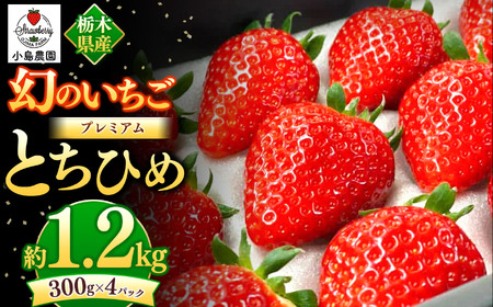 幻のプレミアムいちご とちひめ 1200g | 希少 柔らかい 果肉 大粒 ジューシー 果汁 いちご 苺 特産品 ストロベリー strawberry スイーツ お取り寄せ ご褒美 贈答用 プレゼント ご褒美 栃木県 真岡市 