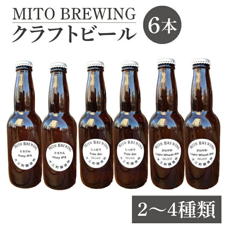 【ふるさと納税】第1回水戸さきがけビジネス大賞 優秀賞受賞！【ぬりや】クラフトビール　6本詰め合わせ【お酒 クラフトビール ビール ふるさと納税 水戸市 茨城県】（GW-1）