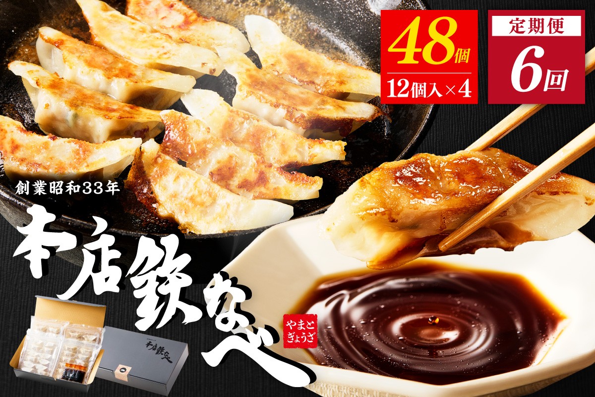 
            【6回定期便】本店鉄なべ冷凍ぎょうざ48個入り【040-0008】
          