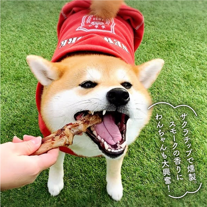 中型犬向け☆天然いのししのスモーク骨ガム4本【わんこin食堂】 [FCG054]