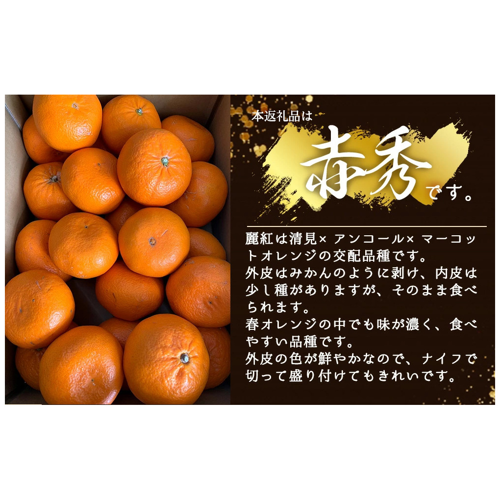 【2027年先行受付】麗紅柑 (れいこう) 赤秀品 S～2Lサイズ 3kg 和歌山有田産_BF6062_イメージ2