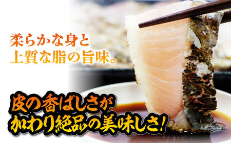 ふっくら香ばしい！鰆の炙り 深い旨みの柵・切り身セット 切り身 魚 冷凍 刺身 海鮮 西京焼き 簡単 新鮮 魚介 海鮮 急速冷凍 魚介類 江田島市/秋宝丸[XCK008]