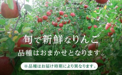 【先行予約 9月中旬～1月下旬発送】飛騨りんご 約5kg (16個～20個）| 9月中旬～順次発送 リンゴ 品種おまかせ 旬のりんごを飛騨からお届け おいしい 大容量 飛騨高山 山本果樹園 MA005