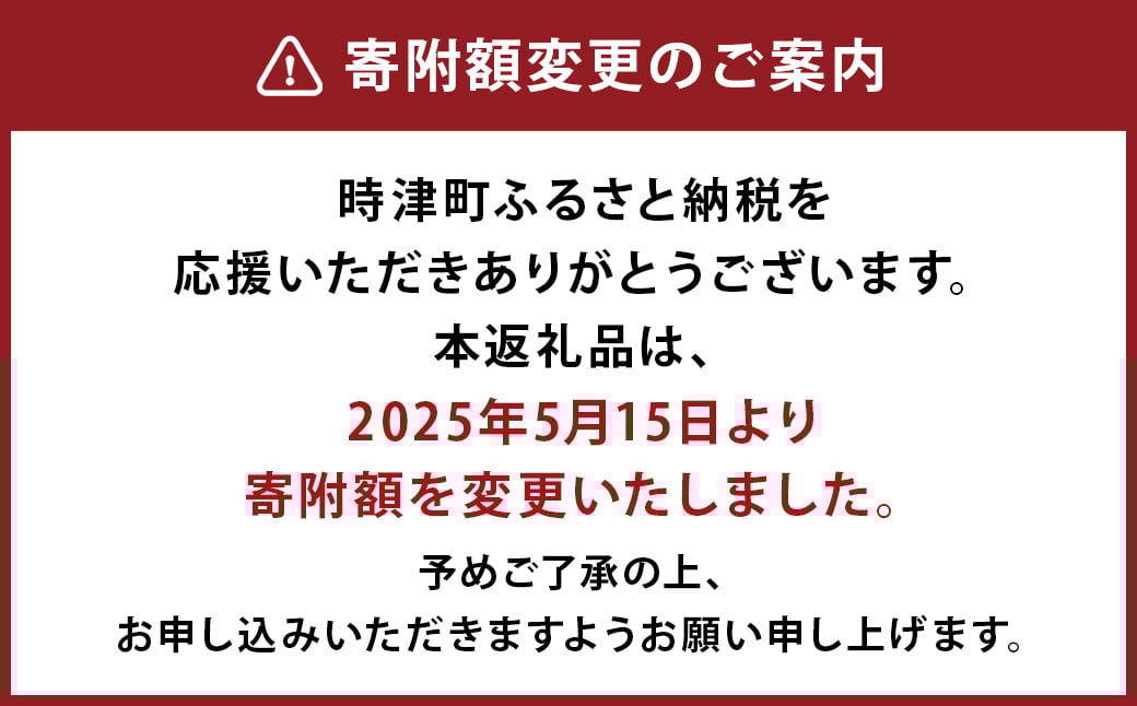 【定期便 4回コース】時津の果物定期便 みかんとぶどうの町から贈る 特産品の定期便