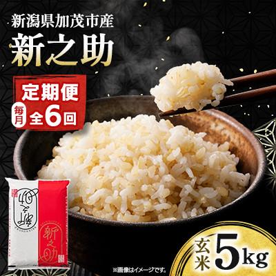 ふるさと納税 加茂市 【発送月固定定期便】新之助 玄米5kg　4月上旬より順次発送全6回