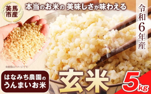 はなみち農園のうんまいお米・玄米 令和6年産 5kg 《30日以内に出荷予定(土日祝除く)》玄米 美馬市産 実森ラボラトリー株式会社 自家製小麦のお店mimori 送料無料 徳島県 美馬市