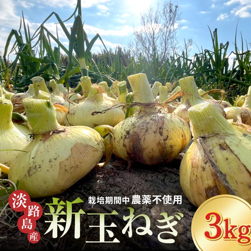 
                  淡路島 新玉ねぎ 3kg 玉ねぎ 新玉 タマネギ 淡路島産 3キロ スープ ハンバーグ 肉じゃが 野菜 サラダ 淡路島もぐもぐファーム 淡路 洲本市 [№5395-0512]
                