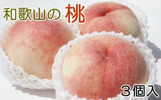 【産直・人気の特産品】和歌山の桃　3玉入り  ※2025年6月下旬頃から8月上旬頃順次発送【tec947A】