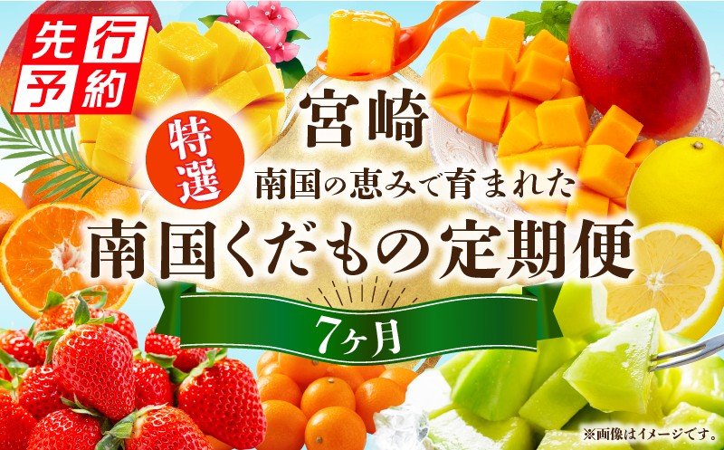 
                  《2027年発送先行予約》【数量・期間限定】特選南国くだもの7ヶ月定期便 フルーツ定期便 果物定期便 定期便 定期 旬のフルーツ 旬の果物 果物 フルーツ デザート 旬 厳選 いちご イチゴ 苺 金柑 きんかん 金柑たまたま 柑橘 柑橘系 日向夏 マンゴー 宮崎マンゴー メロン みかん ミカン 期間限定 数量限定 贈り物 ギフト 贈答 ご褒美 グルメ 宮崎県 宮崎市 _M348-T006
                