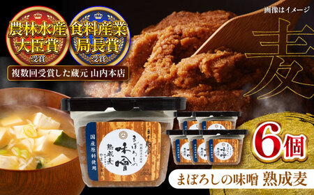 まぼろしの 味噌 熟成麦 500g×6個セット みそ 味噌 BHAE020
