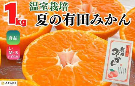 【5月出荷予定】ハウスみかん 温室栽培 夏の有田みかん 1kg 秀品 S・M・Lサイズのいずれか 和歌山県 産地直送 みかんの会
