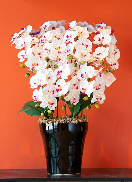 【ふるさと納税】 光触媒 造花 胡蝶蘭 7本立 花 インテリア 観葉植物 フラワー エフエヌティ〔137-003〕岐阜県 大垣市