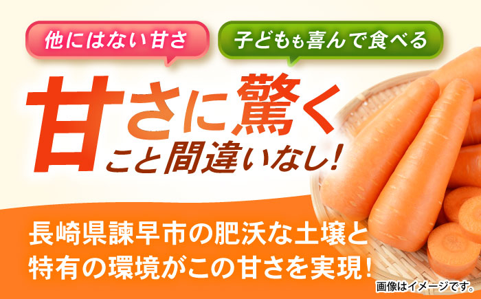 食品 やさい 野菜 サラダ 旬 甘い にんじん ニンジン 人参 キャロット きゃろっと 10kg 季節限定 産地直送 ジュース