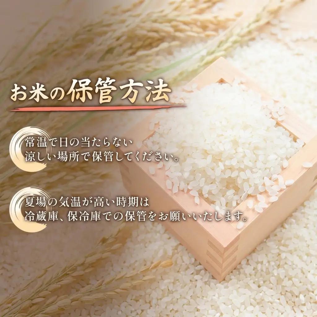 コシヒカリ 5㎏ 特別栽培米 新潟県 上越産 コシヒカリ