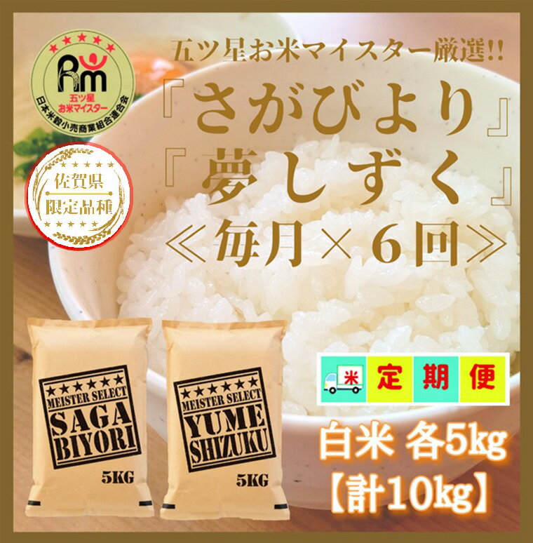 【ふるさと納税】『新米予約初回2025年11月発送』【6回定期便】【白米食べ比べ！】さがびより5kg夢しずく5kg 【五つ星お米マイスター厳選！】（CID07）