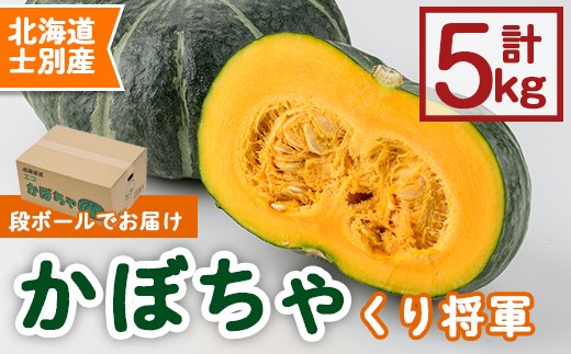 
                  ＜先行予約受付中＞《数量・期間限定》北海道士別産 かぼちゃ くり将軍(5kg) 【2026年10月中旬以降順次発送】 かぼちゃ カボチャ 5kg 南瓜 野菜 秋野菜 産地直送 料理 煮つけ 天ぷら 北海道産 【士別農園】【A7115】
                