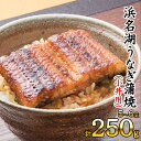 【ふるさと納税】浜名湖うなぎ蒲焼（小丼用）計250g 【訳あり】サイズ不揃い5～6袋　 加工品 養殖 老舗 手焼き 蒲焼 百貨店 ギフト カット 湯せん レンジ 美味しい 冷凍 食べきり 便利 簡単 調理