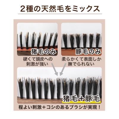 ふるさと納税 東大阪市 天然毛100%猪毛/豚毛　段差植毛　ミックスクッションヘアブラシ |  | 02