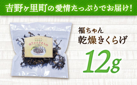 吉野ヶ里産 フルボ酸入り 福ちゃん 乾燥きくらげ 12g きくらげ キクラゲ[FDS001]