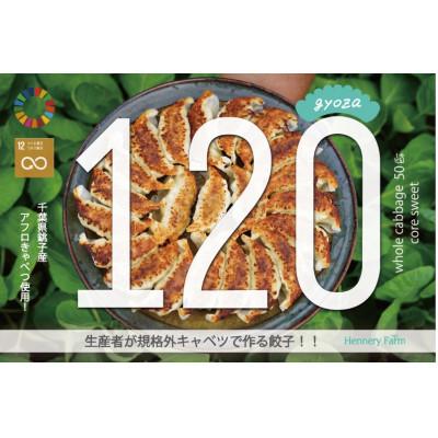 ふるさと納税 銚子市 子供が食べる!箸の止まらない美味しさ!アフロきゃべつ餃子 120個(30個入り×4袋)
