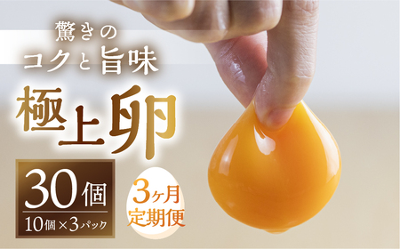 【3回定期便】コク旨 極上卵 30個 割れ保証付き