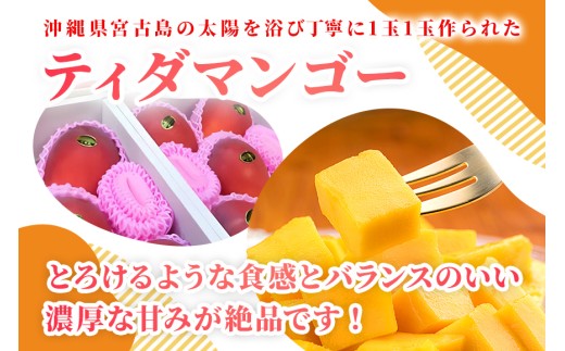 沖縄県宮古島・完熟マンゴー900g（2玉）【特選贈答用】ティダマンゴー宮古島農園（AI002 ）
