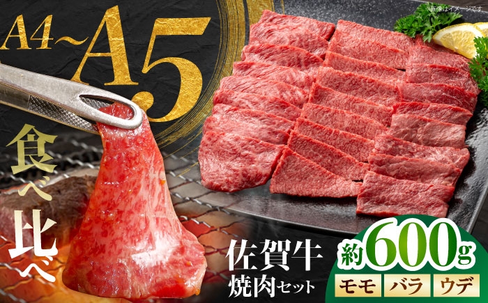 
                  佐賀牛 焼肉セット A モモ バラ ウデ　約600g 【JAさが 杵島支所】 [HAM091]
                