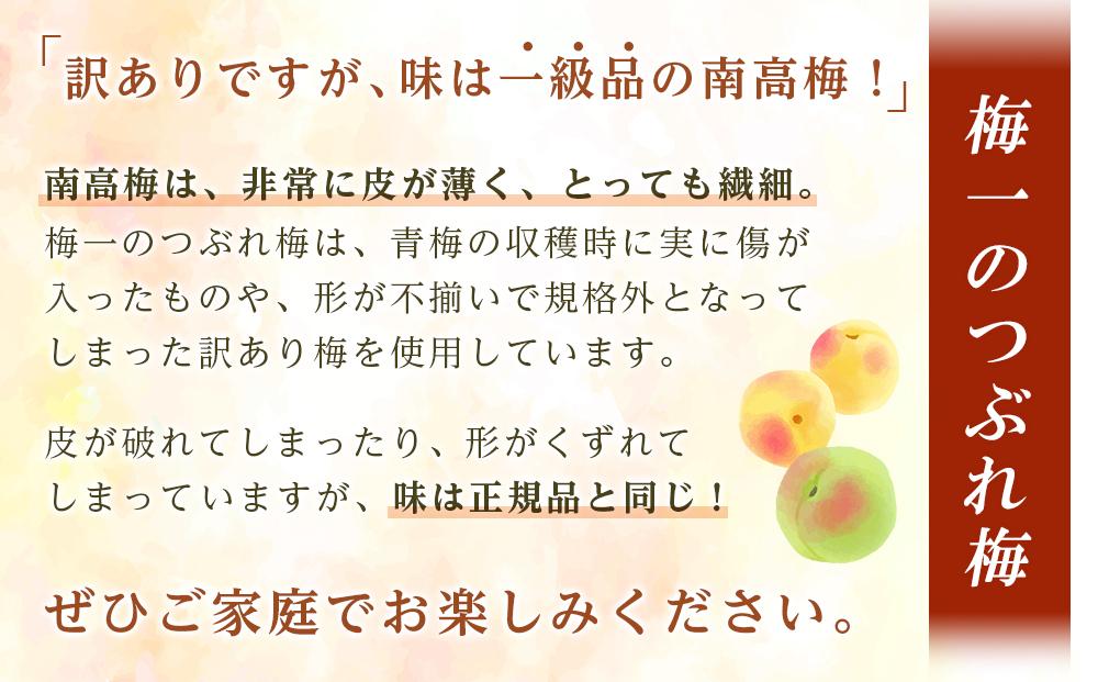※好評につき、25年11月以降発送※紀州南高梅《つぶれ梅セット》しそ漬け梅 塩分3% 600g (300g×2）