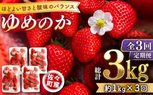 【発送月選択可能】【先行予約・全3回定期便・1,2,3月発送】佐々町産 いちご 「ゆめのか」約1.0kg （250g×4パック）/回 （総量計3.0kg）【市丸農園 いちご研究室】 [QBF003] / 長崎県 佐々町
